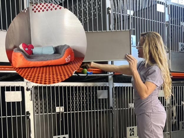 Pet Kennels