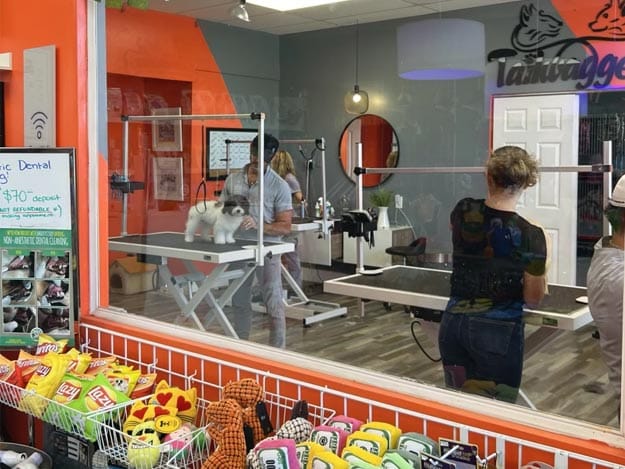 Tail Waggers Pet Grooming Facility Hollywood Florida
